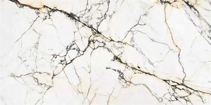 Pavonazzetto Marmi Paonazetto Bianco Marble Flooring
